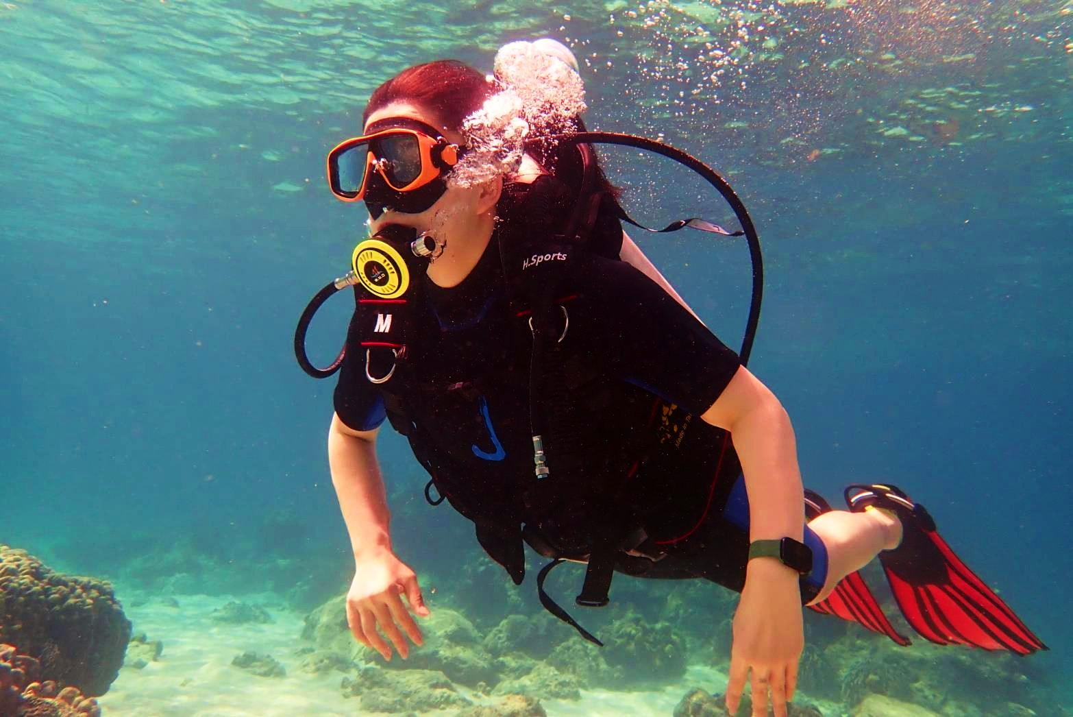 Scuba Diving Experience