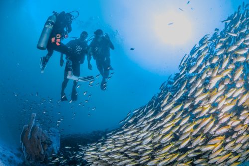 diving