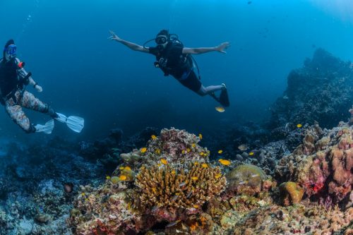 diving