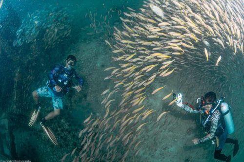diving